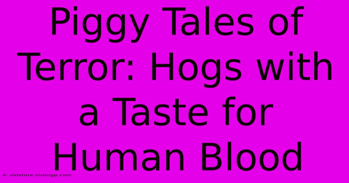 Piggy Tales Of Terror: Hogs With A Taste For Human Blood