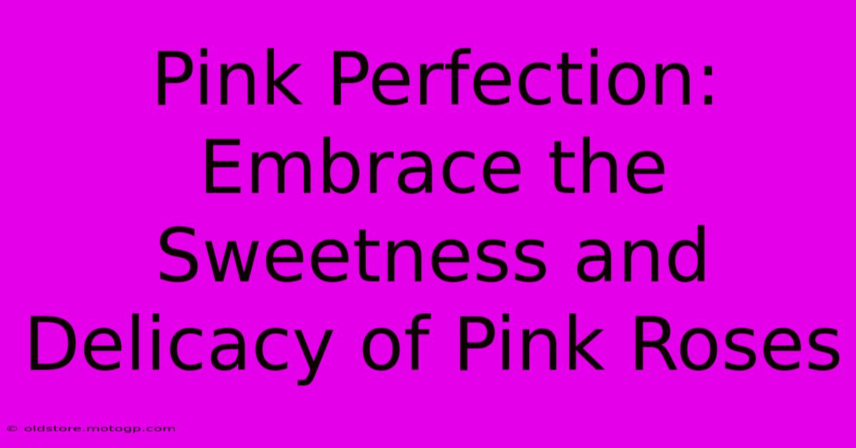 Pink Perfection: Embrace The Sweetness And Delicacy Of Pink Roses