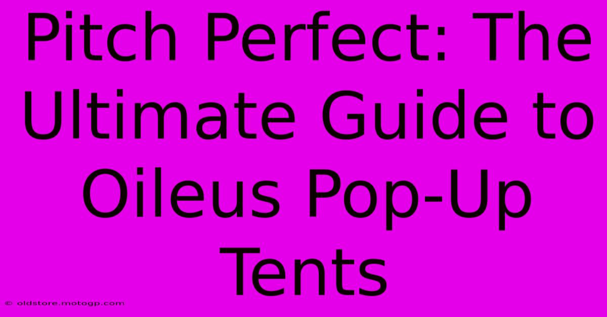 Pitch Perfect: The Ultimate Guide To Oileus Pop-Up Tents