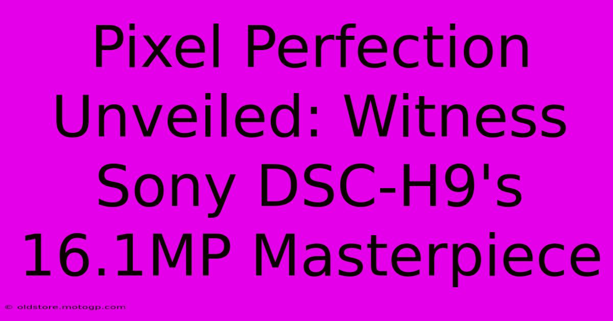 Pixel Perfection Unveiled: Witness Sony DSC-H9's 16.1MP Masterpiece