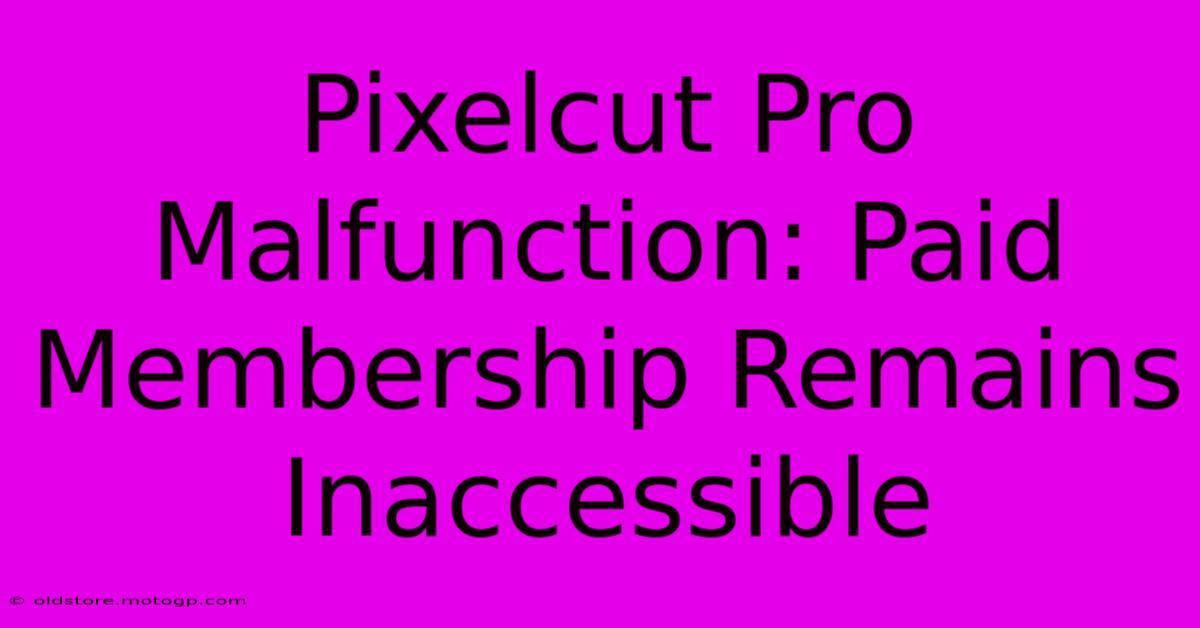 Pixelcut Pro Malfunction: Paid Membership Remains Inaccessible