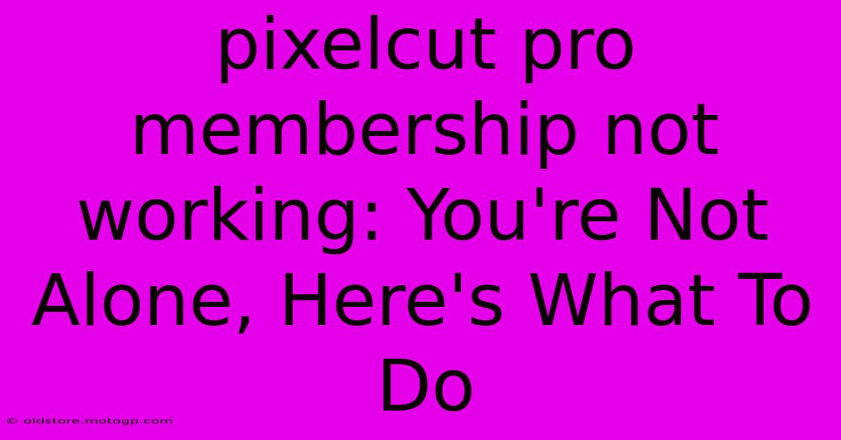 Pixelcut Pro Membership Not Working: You're Not Alone, Here's What To Do