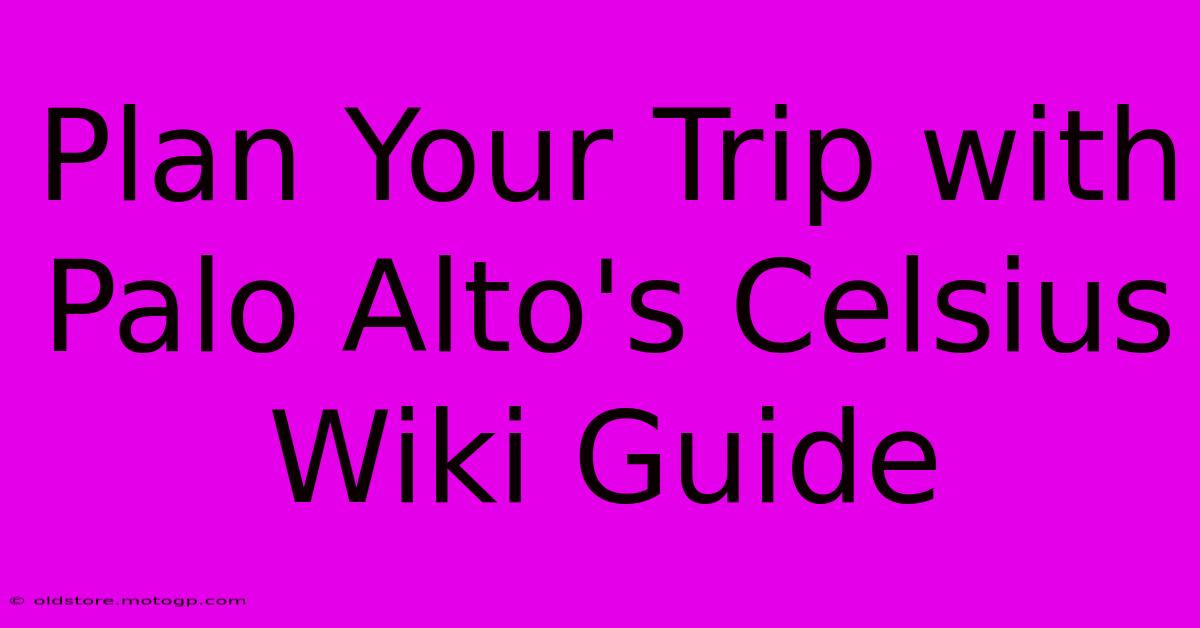 Plan Your Trip With Palo Alto's Celsius Wiki Guide