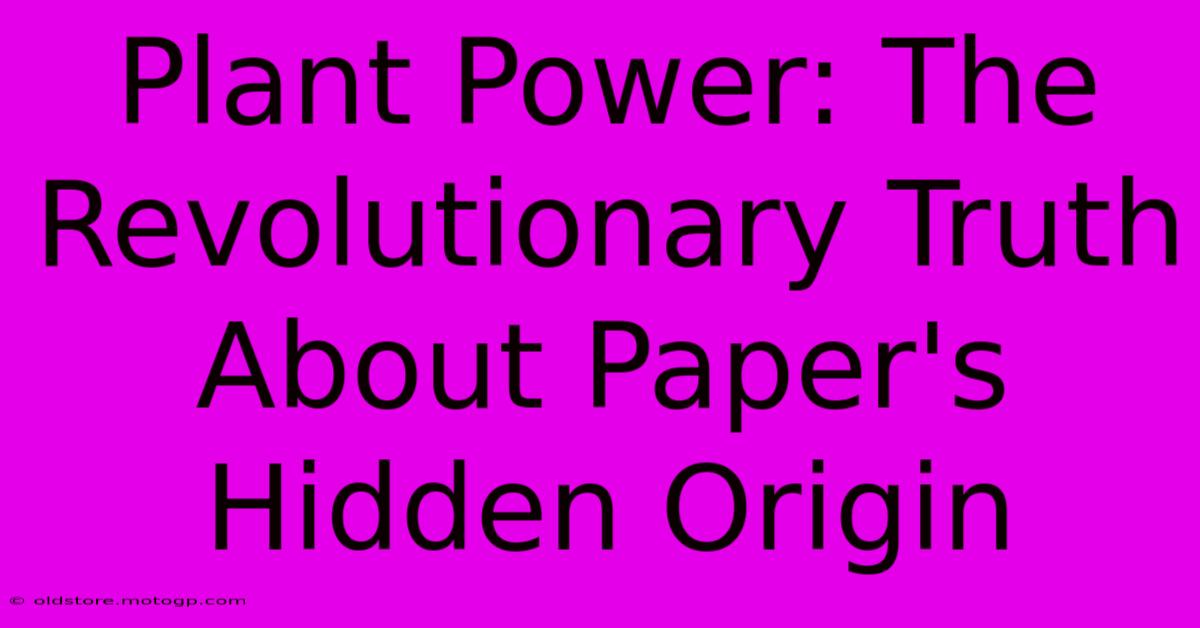 Plant Power: The Revolutionary Truth About Paper's Hidden Origin