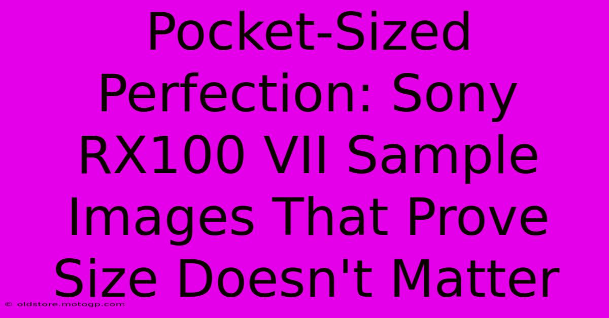 Pocket-Sized Perfection: Sony RX100 VII Sample Images That Prove Size Doesn't Matter