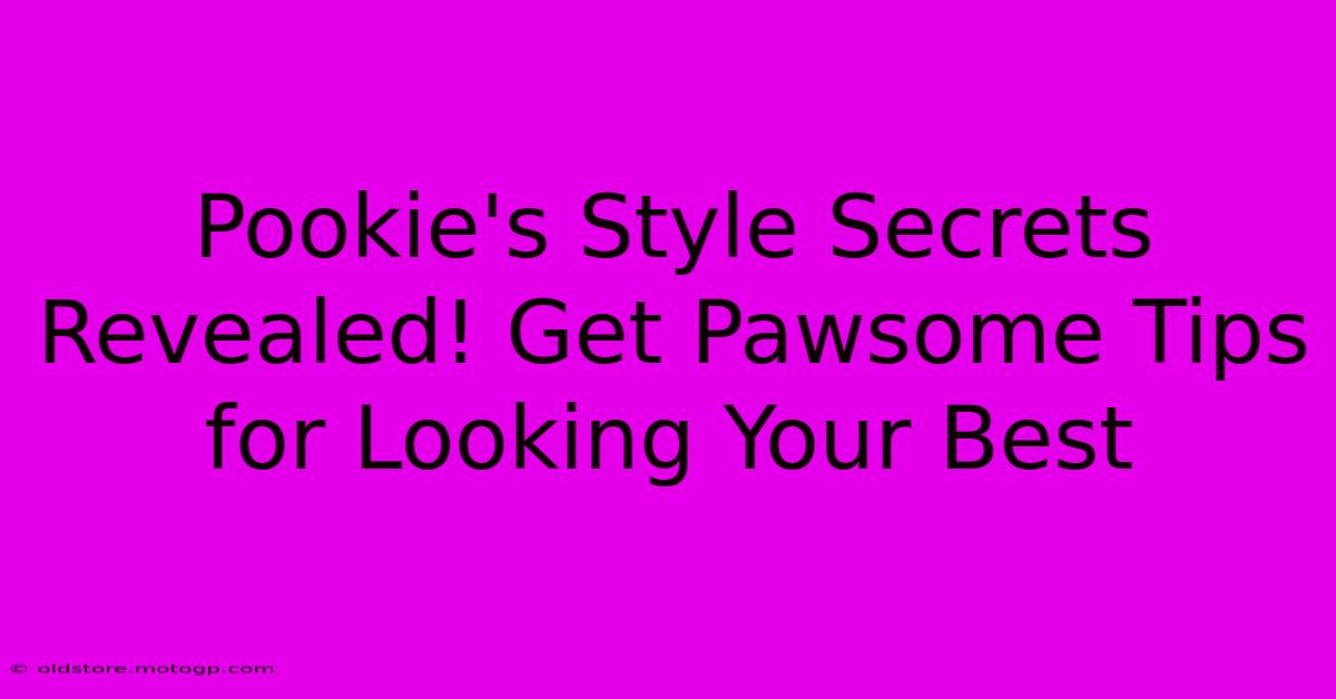 Pookie's Style Secrets Revealed! Get Pawsome Tips For Looking Your Best