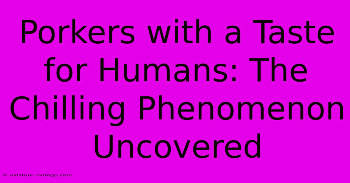 Porkers With A Taste For Humans: The Chilling Phenomenon Uncovered