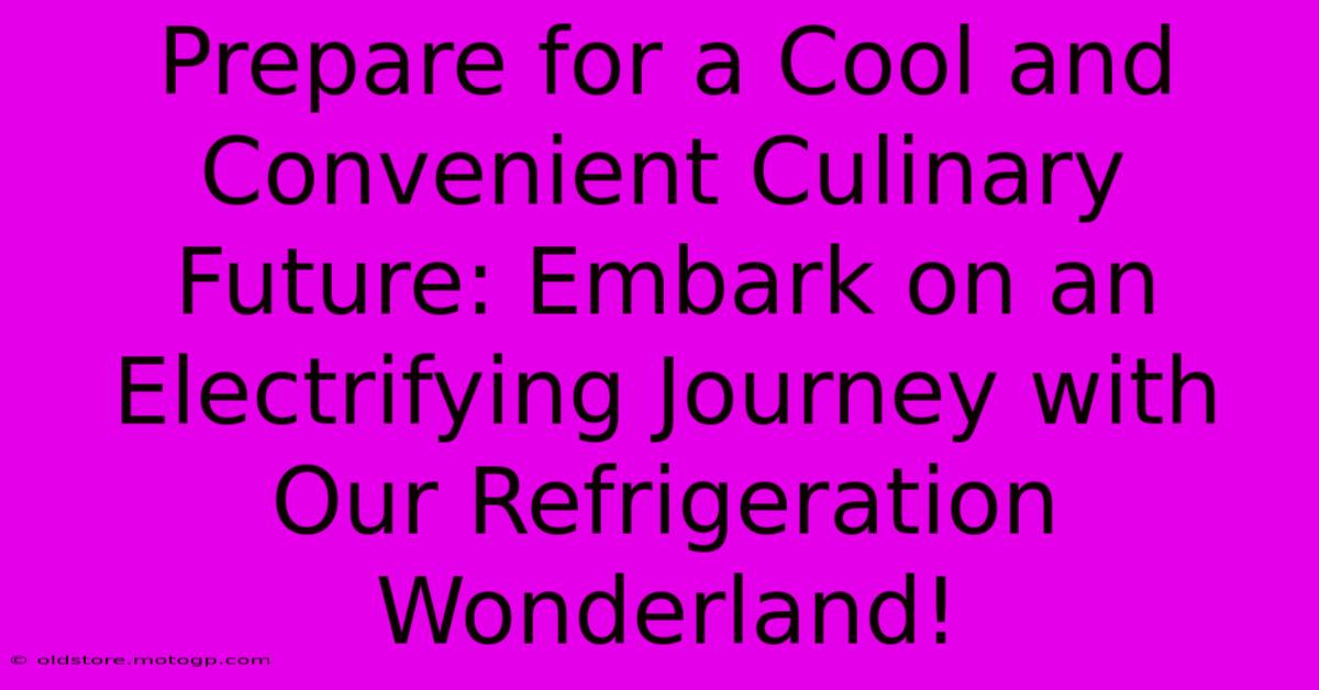 Prepare For A Cool And Convenient Culinary Future: Embark On An Electrifying Journey With Our Refrigeration Wonderland!