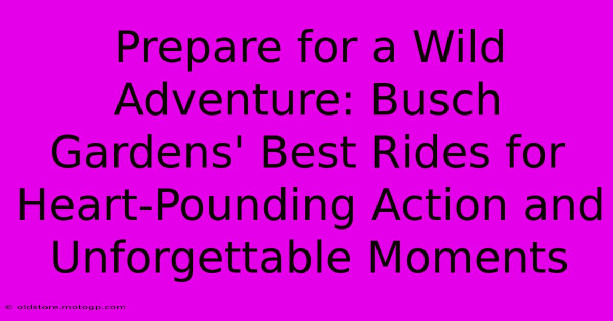 Prepare For A Wild Adventure: Busch Gardens' Best Rides For Heart-Pounding Action And Unforgettable Moments