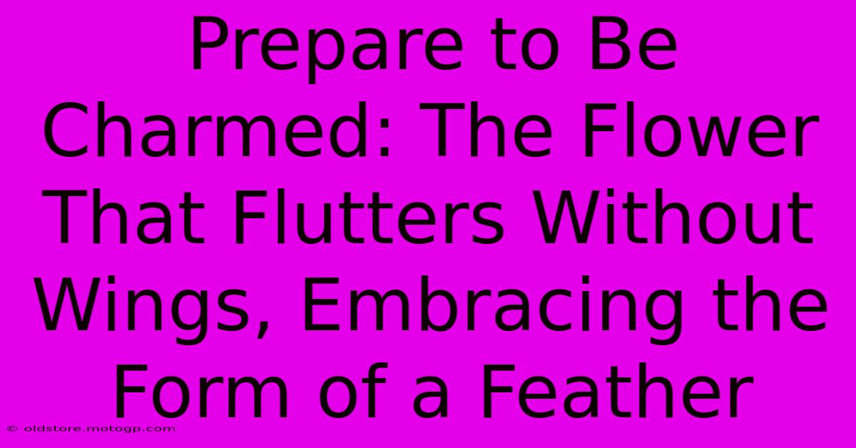 Prepare To Be Charmed: The Flower That Flutters Without Wings, Embracing The Form Of A Feather