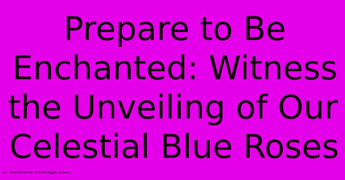 Prepare To Be Enchanted: Witness The Unveiling Of Our Celestial Blue Roses