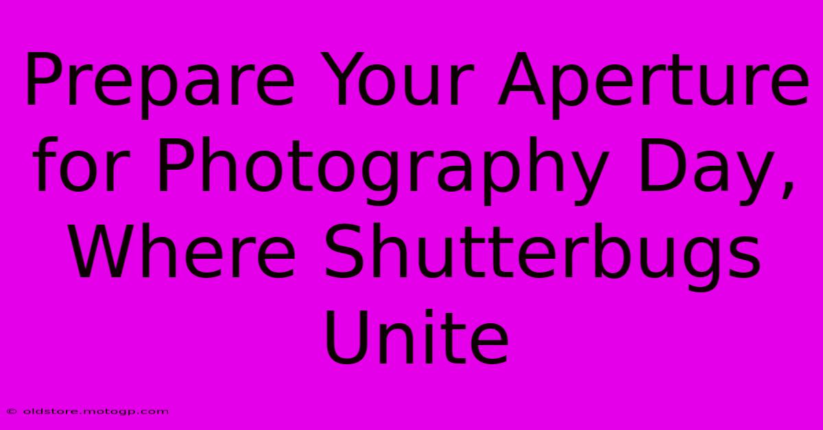 Prepare Your Aperture For Photography Day, Where Shutterbugs Unite