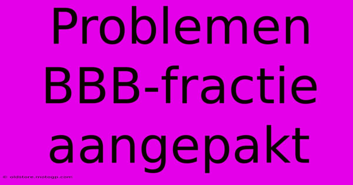 Problemen BBB-fractie Aangepakt