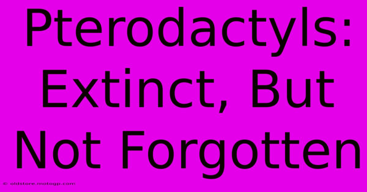 Pterodactyls: Extinct, But Not Forgotten