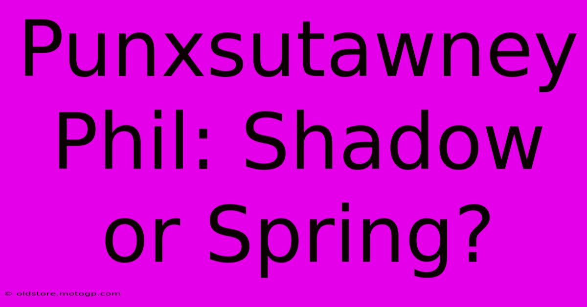 Punxsutawney Phil: Shadow Or Spring?