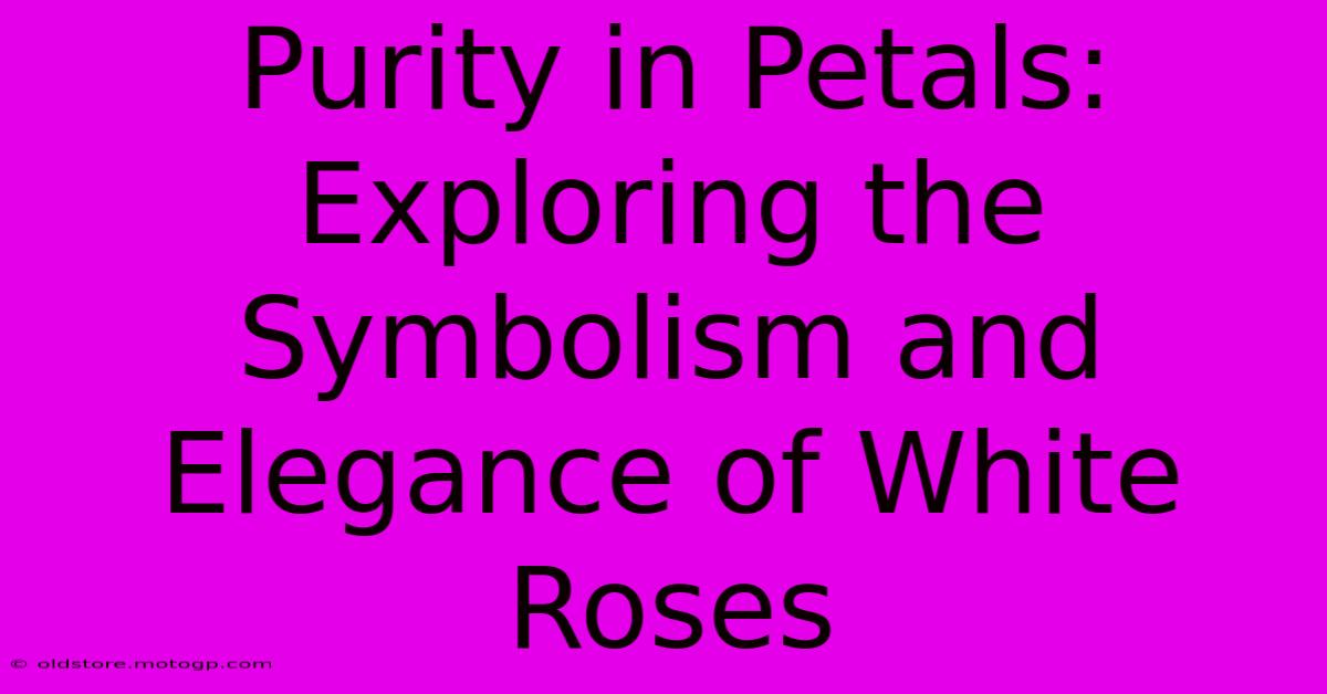 Purity In Petals: Exploring The Symbolism And Elegance Of White Roses