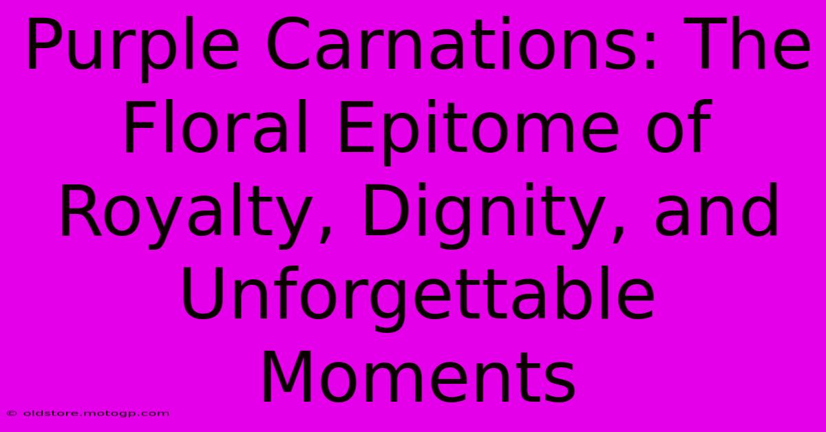 Purple Carnations: The Floral Epitome Of Royalty, Dignity, And Unforgettable Moments