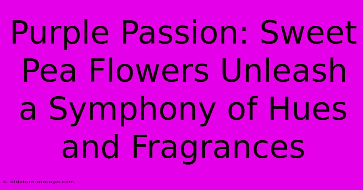 Purple Passion: Sweet Pea Flowers Unleash A Symphony Of Hues And Fragrances