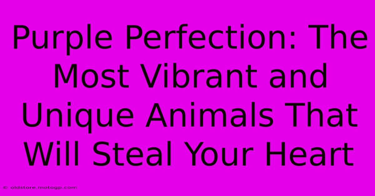 Purple Perfection: The Most Vibrant And Unique Animals That Will Steal Your Heart