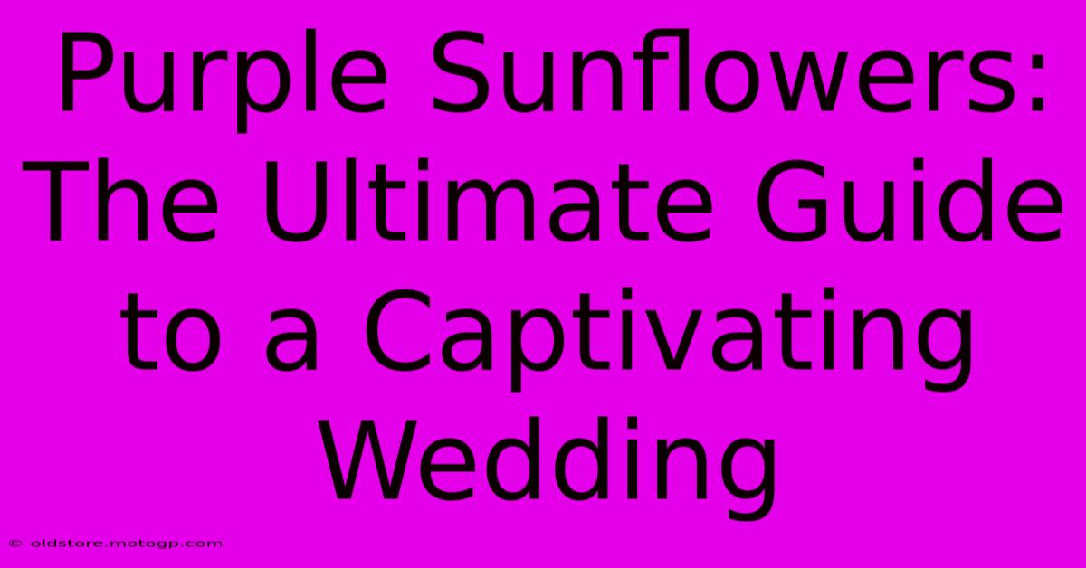 Purple Sunflowers: The Ultimate Guide To A Captivating Wedding