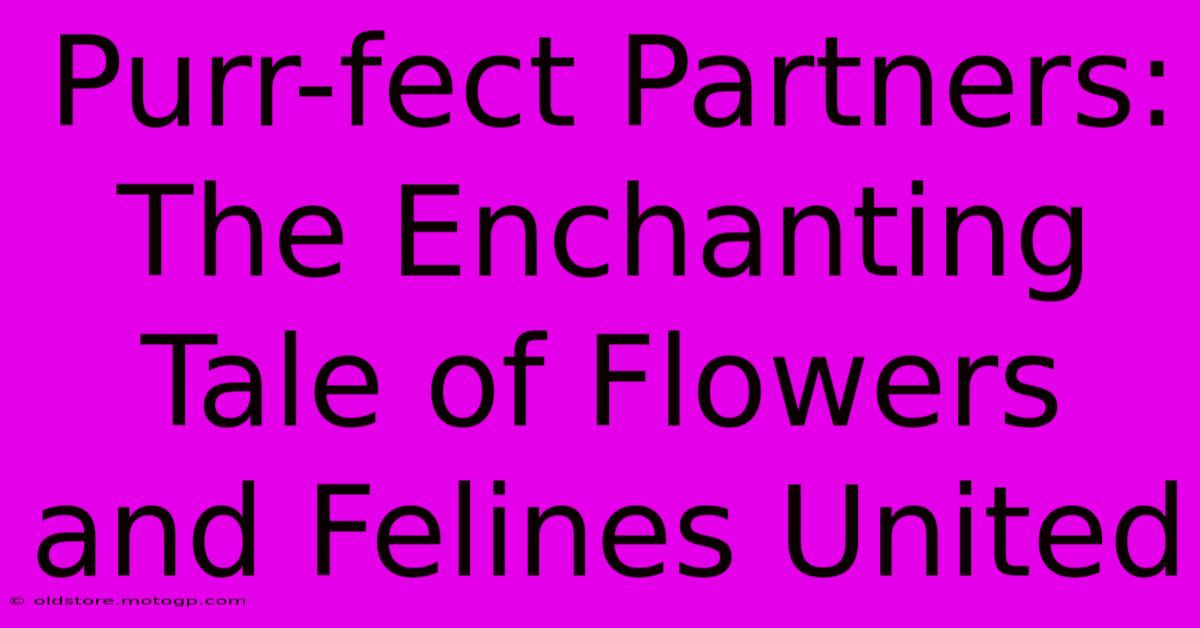 Purr-fect Partners: The Enchanting Tale Of Flowers And Felines United