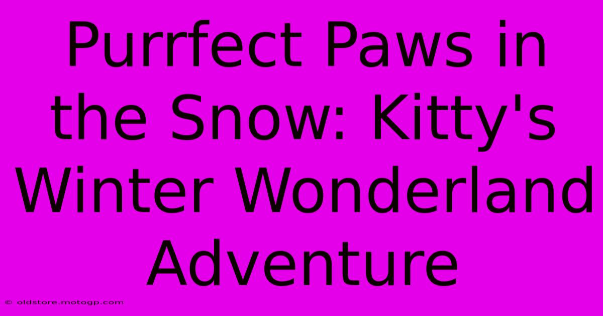 Purrfect Paws In The Snow: Kitty's Winter Wonderland Adventure