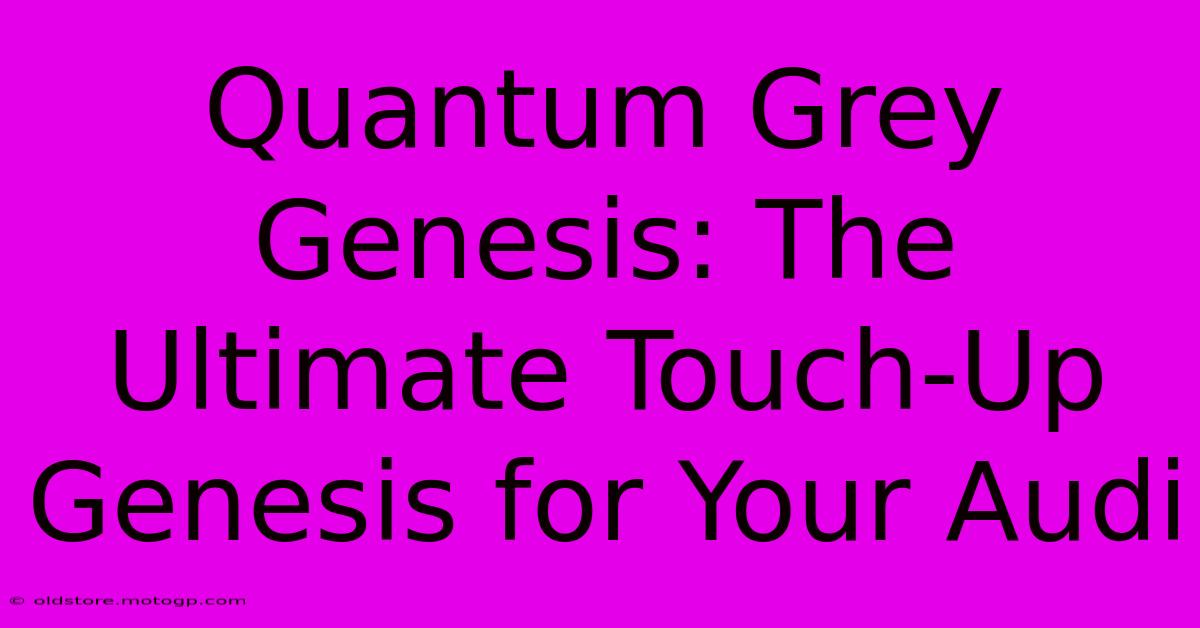 Quantum Grey Genesis: The Ultimate Touch-Up Genesis For Your Audi