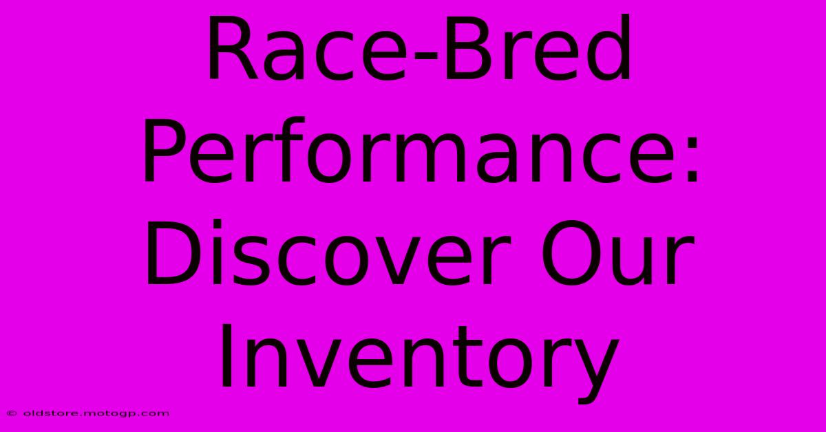 Race-Bred Performance: Discover Our Inventory