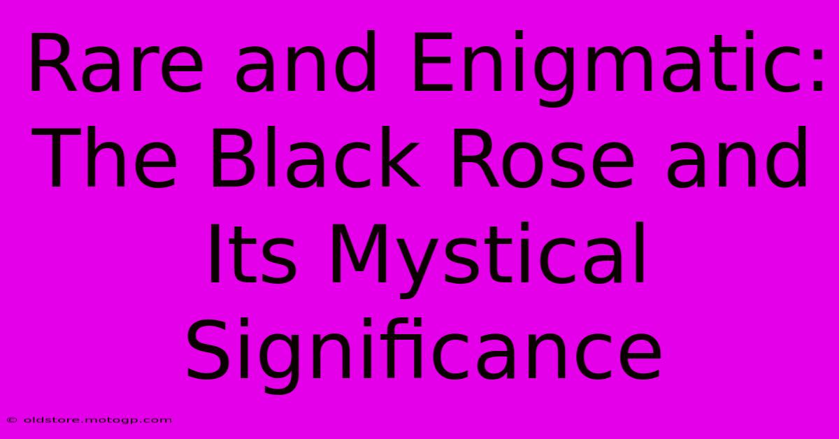 Rare And Enigmatic: The Black Rose And Its Mystical Significance