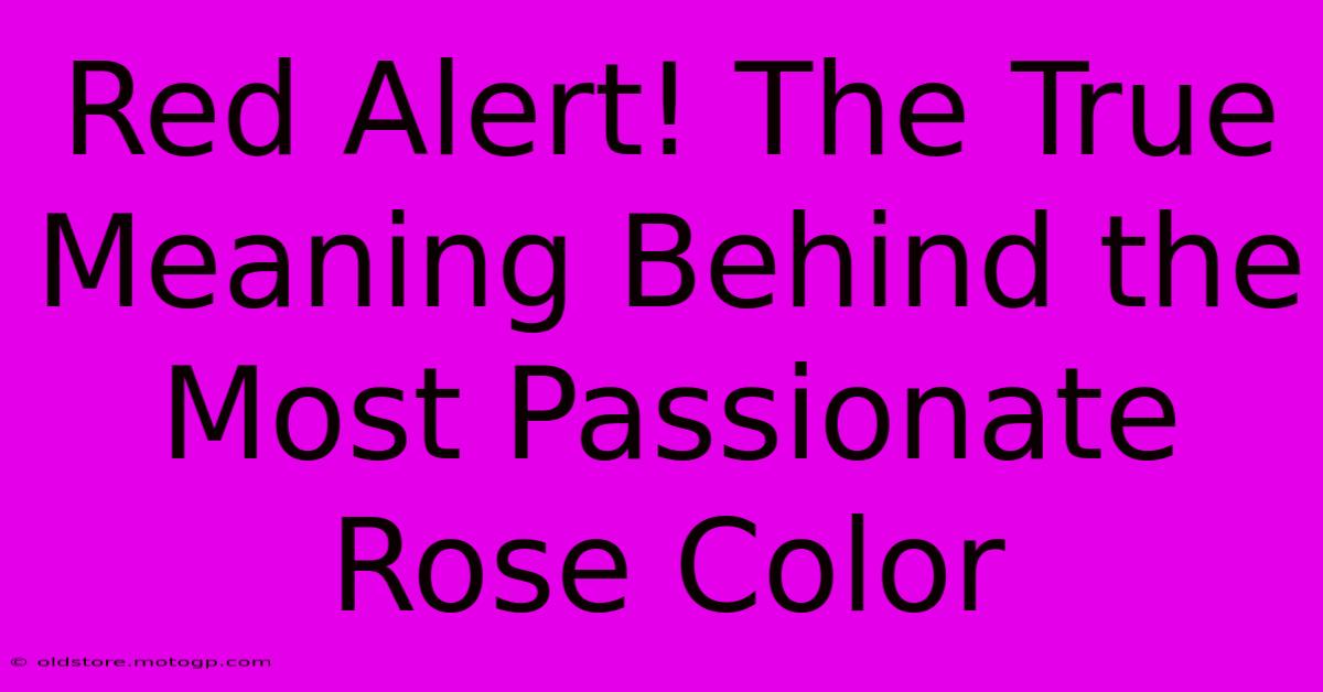 Red Alert! The True Meaning Behind The Most Passionate Rose Color