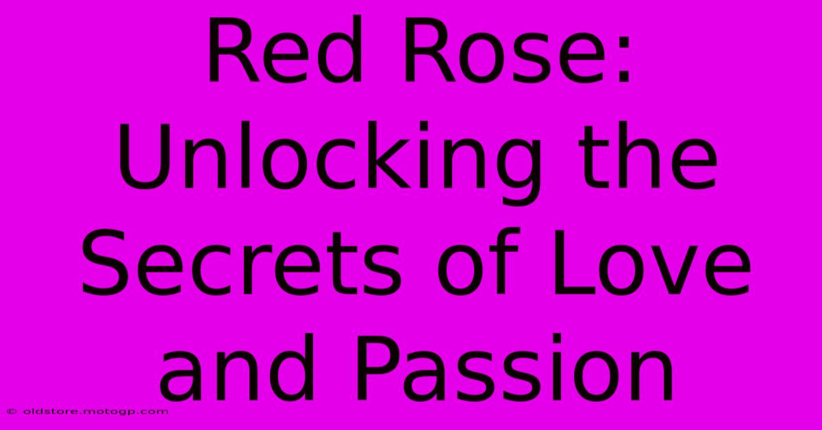 Red Rose: Unlocking The Secrets Of Love And Passion