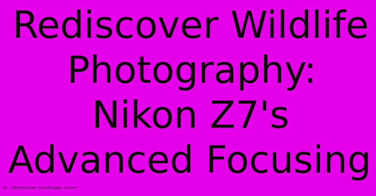 Rediscover Wildlife Photography: Nikon Z7's Advanced Focusing