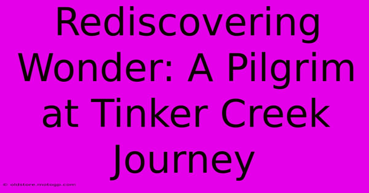 Rediscovering Wonder: A Pilgrim At Tinker Creek Journey