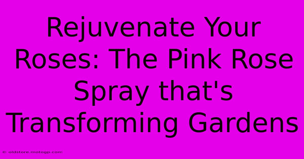 Rejuvenate Your Roses: The Pink Rose Spray That's Transforming Gardens