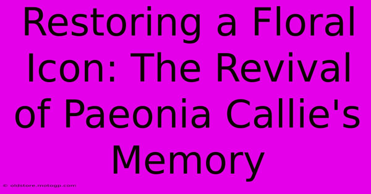 Restoring A Floral Icon: The Revival Of Paeonia Callie's Memory