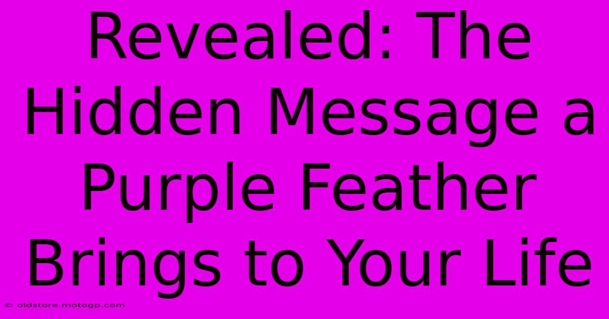 Revealed: The Hidden Message A Purple Feather Brings To Your Life