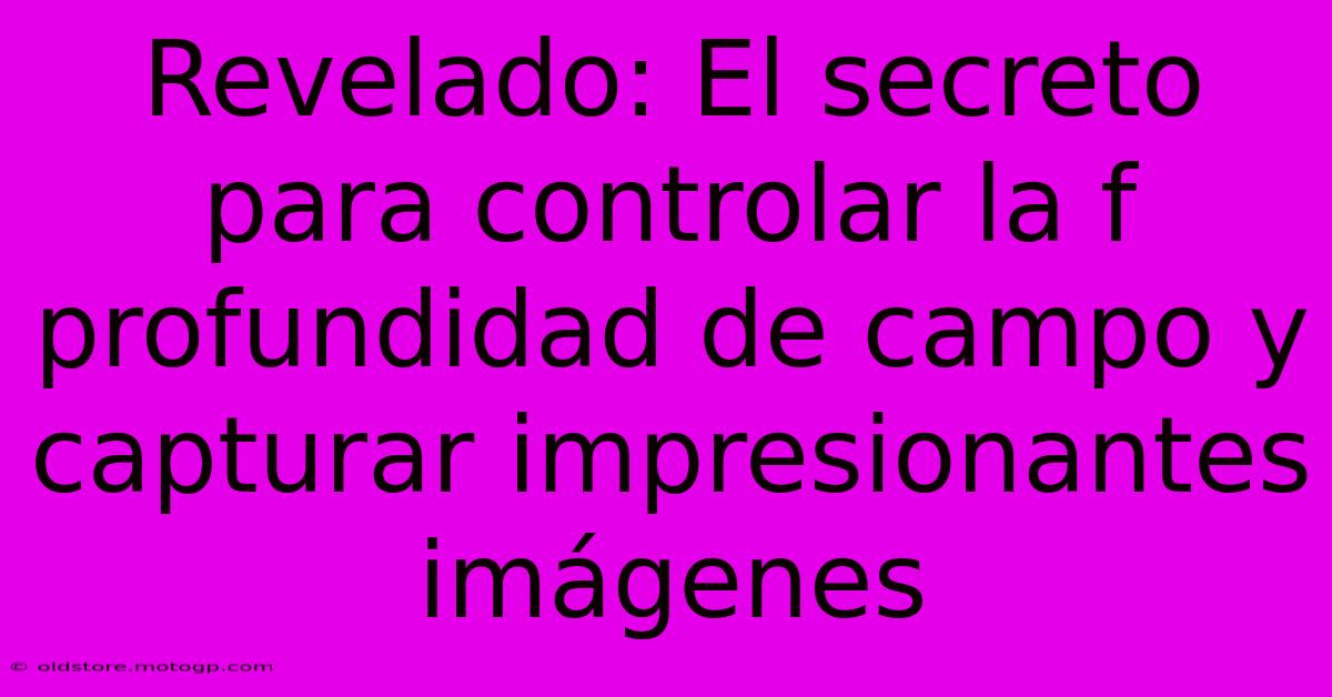 Revelado: El Secreto Para Controlar La F Profundidad De Campo Y Capturar Impresionantes Imágenes