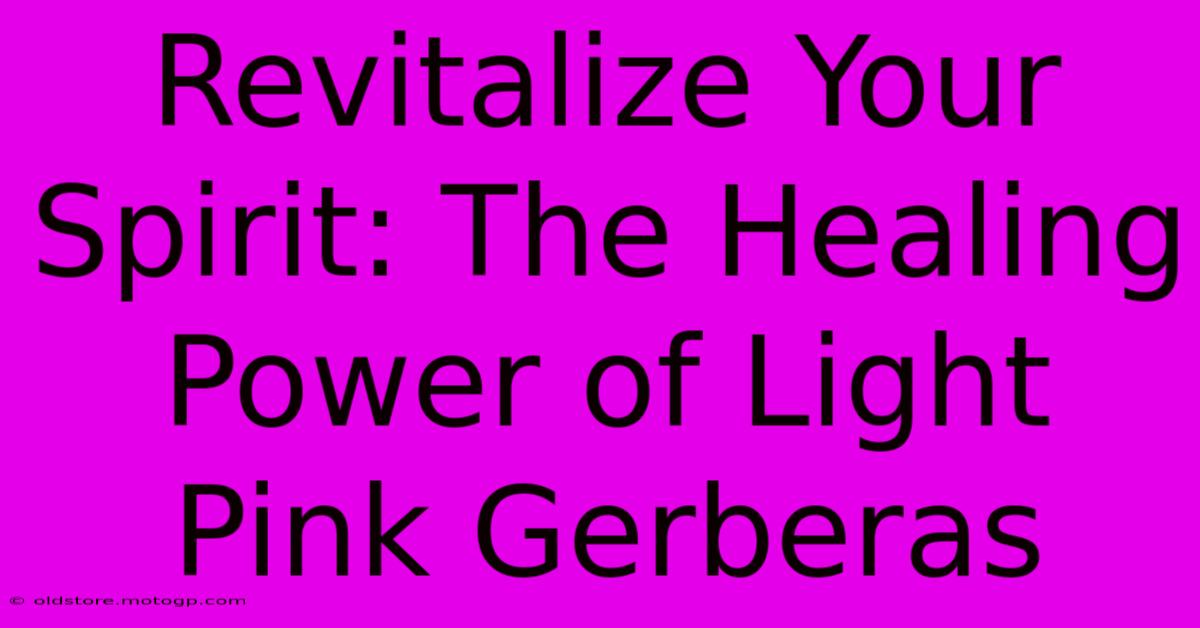 Revitalize Your Spirit: The Healing Power Of Light Pink Gerberas