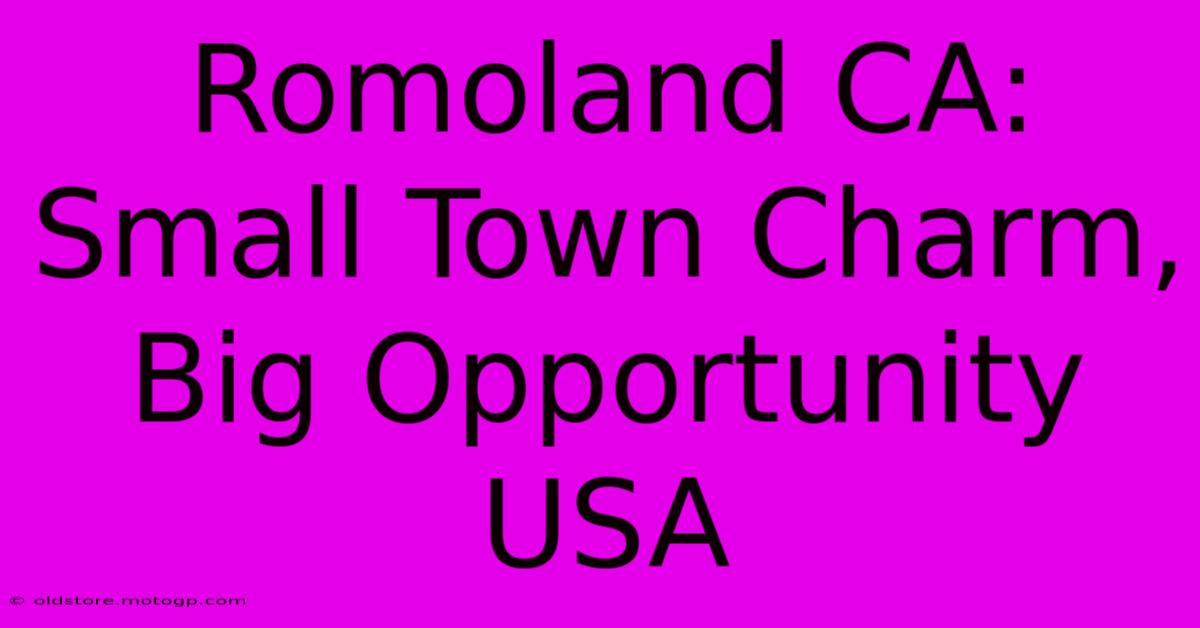 Romoland CA: Small Town Charm, Big Opportunity USA