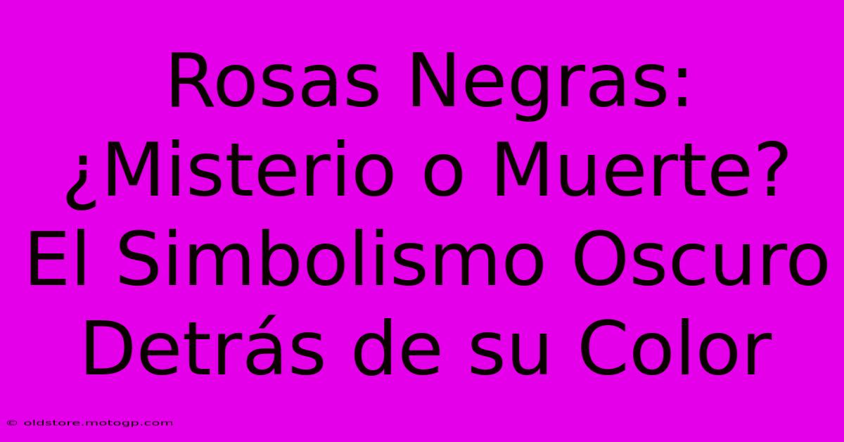 Rosas Negras: ¿Misterio O Muerte? El Simbolismo Oscuro Detrás De Su Color