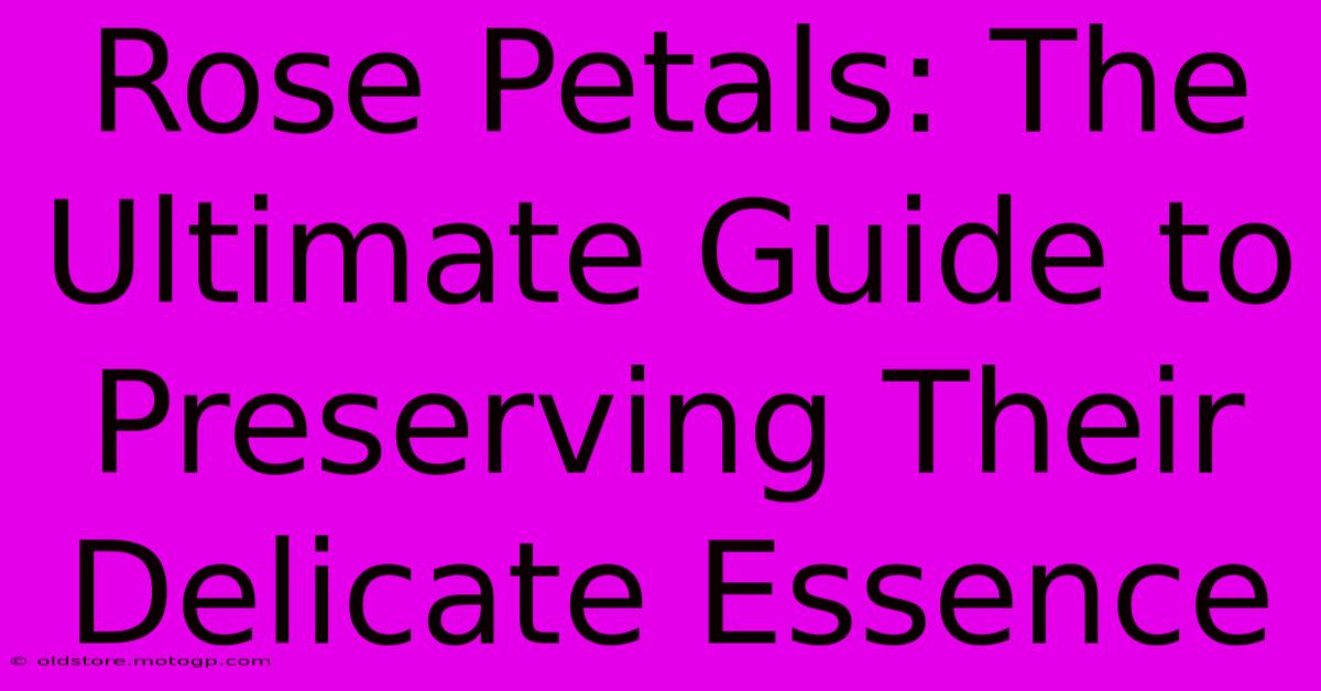 Rose Petals: The Ultimate Guide To Preserving Their Delicate Essence