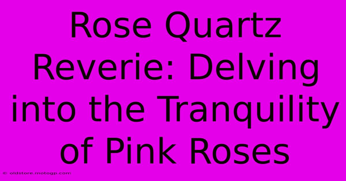 Rose Quartz Reverie: Delving Into The Tranquility Of Pink Roses