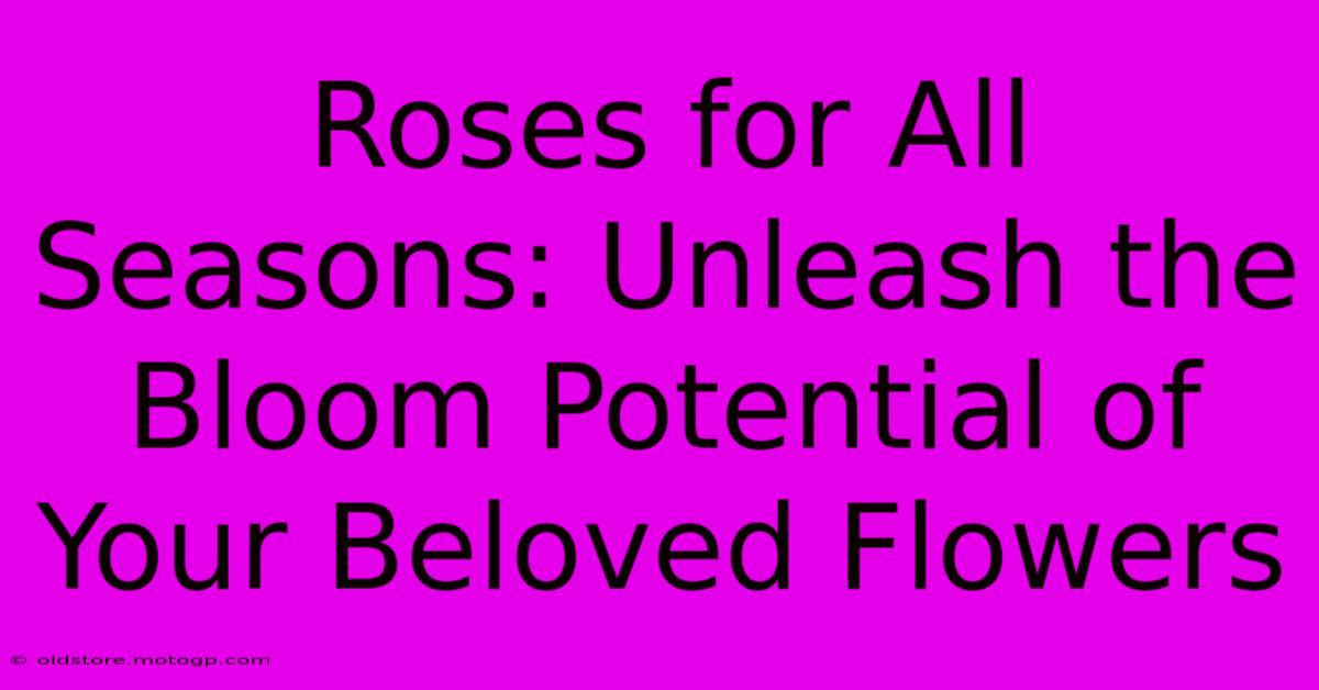 Roses For All Seasons: Unleash The Bloom Potential Of Your Beloved Flowers