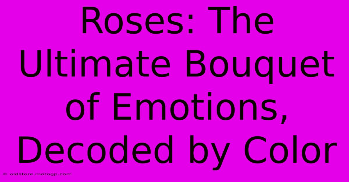 Roses: The Ultimate Bouquet Of Emotions, Decoded By Color