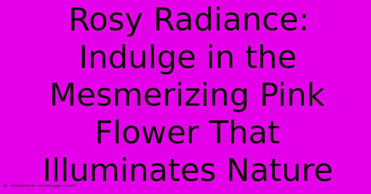 Rosy Radiance: Indulge In The Mesmerizing Pink Flower That Illuminates Nature