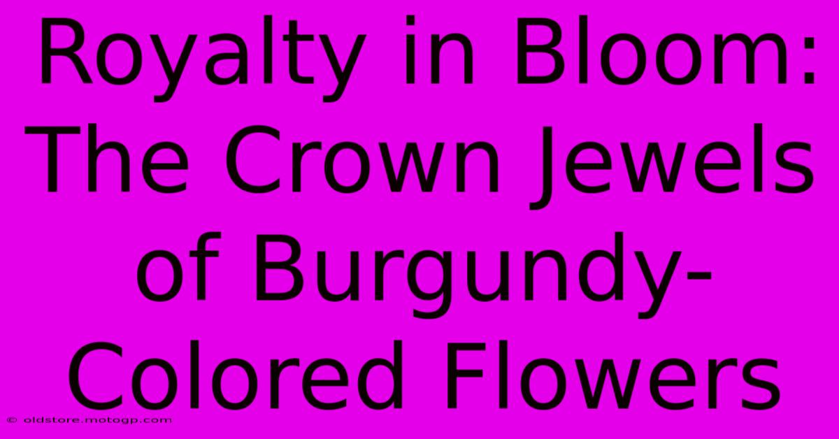 Royalty In Bloom: The Crown Jewels Of Burgundy-Colored Flowers