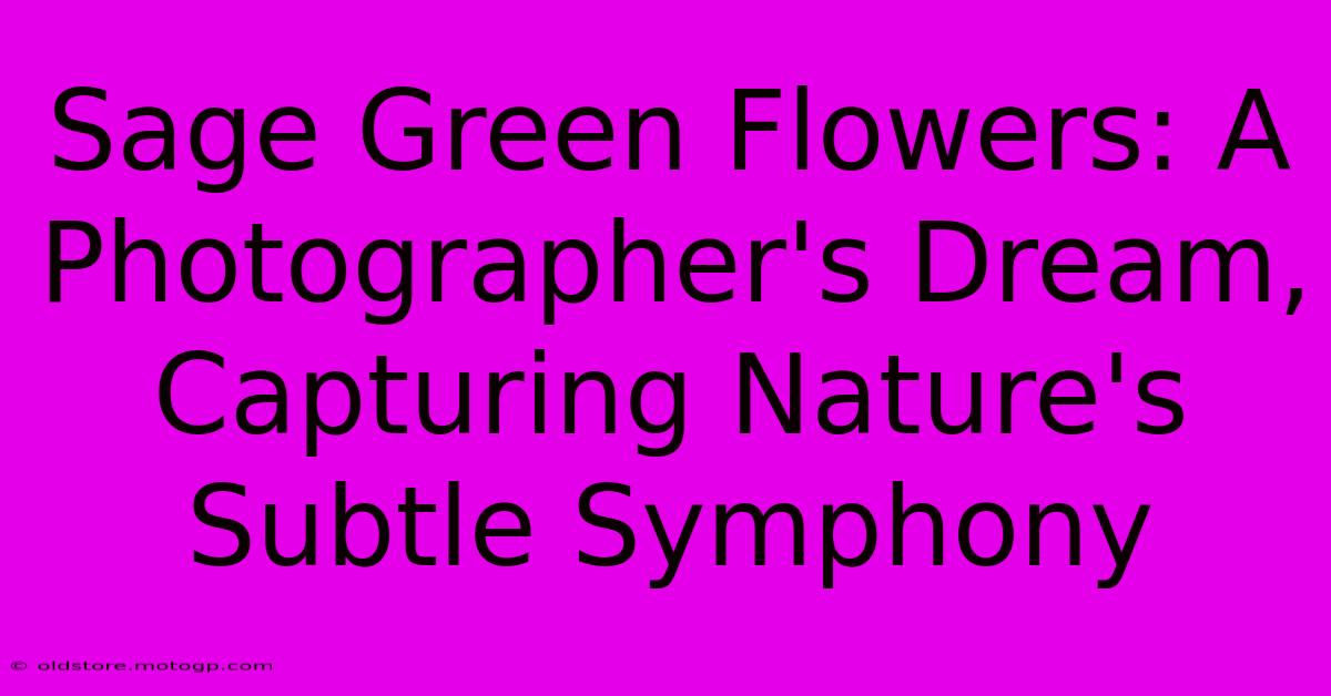 Sage Green Flowers: A Photographer's Dream, Capturing Nature's Subtle Symphony