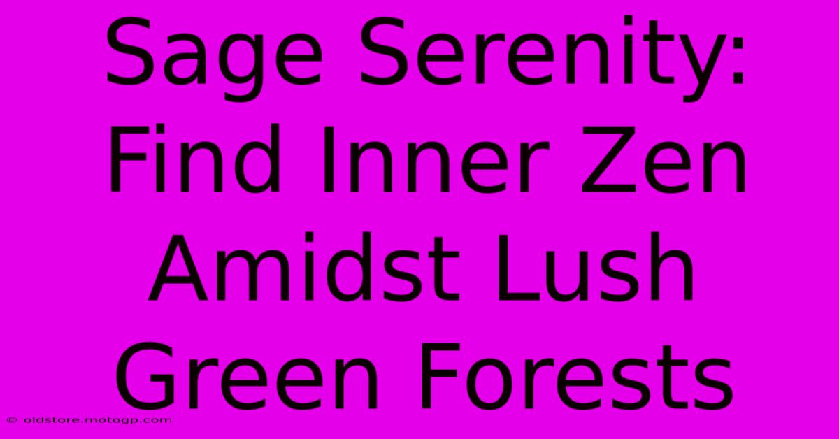 Sage Serenity: Find Inner Zen Amidst Lush Green Forests