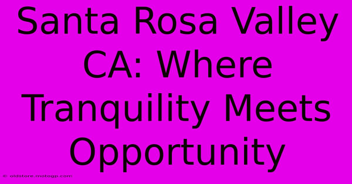 Santa Rosa Valley CA: Where Tranquility Meets Opportunity