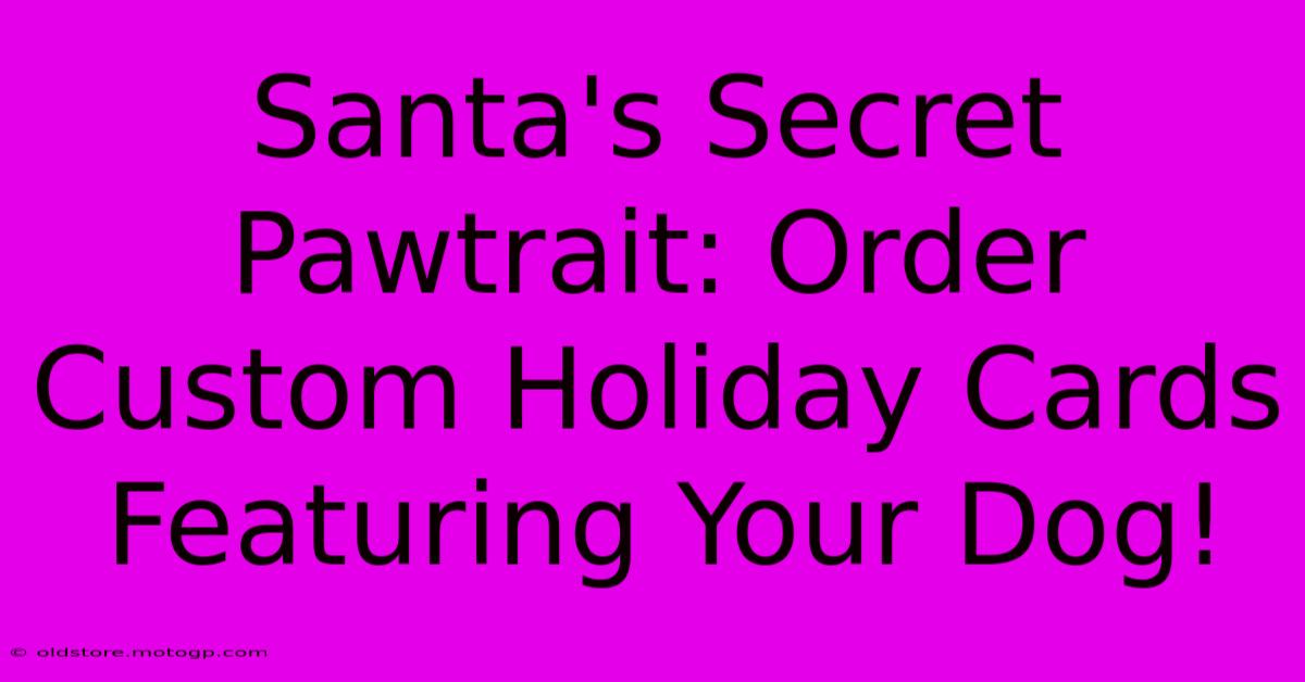 Santa's Secret Pawtrait: Order Custom Holiday Cards Featuring Your Dog!